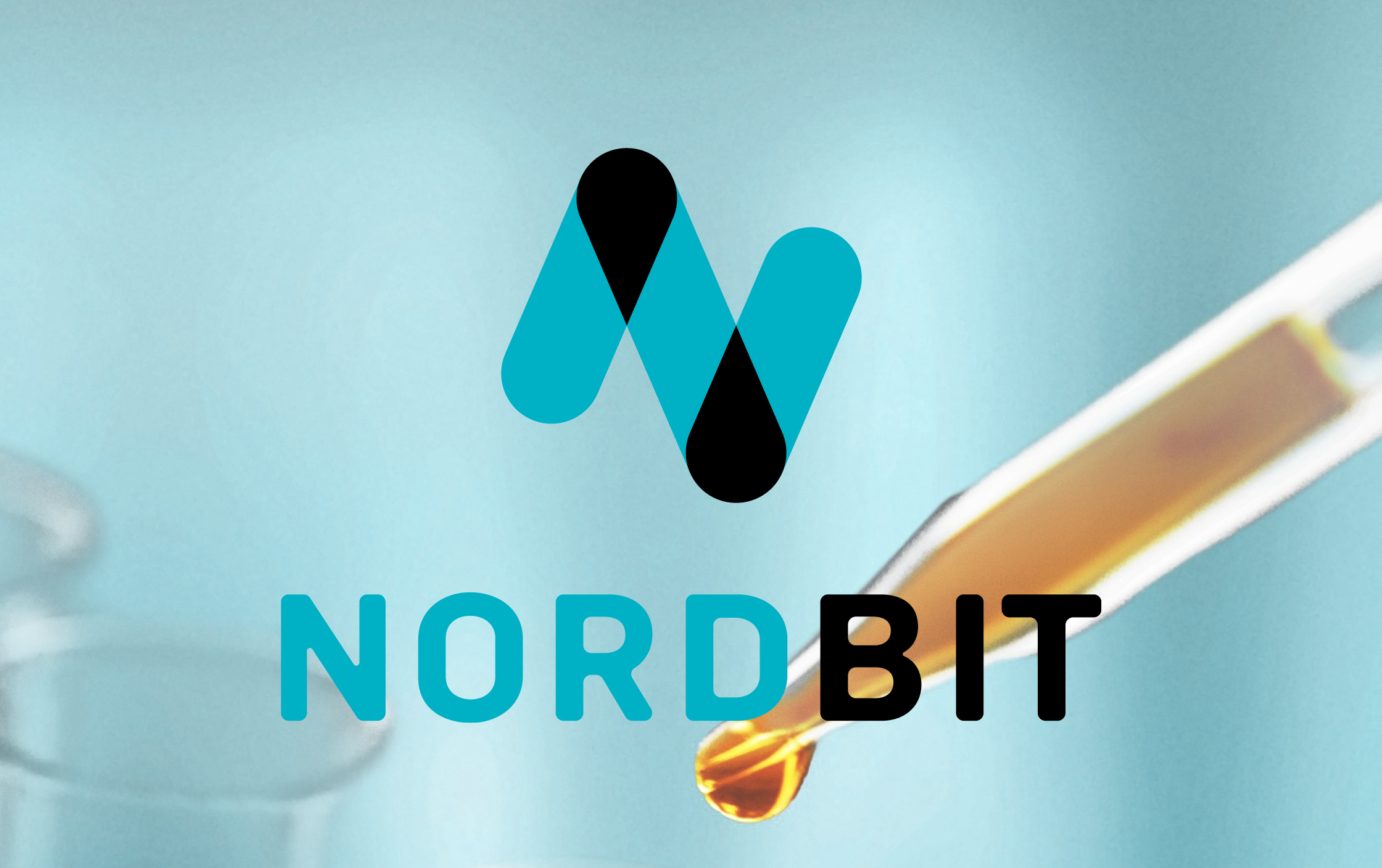 Nordbit Website Launch online