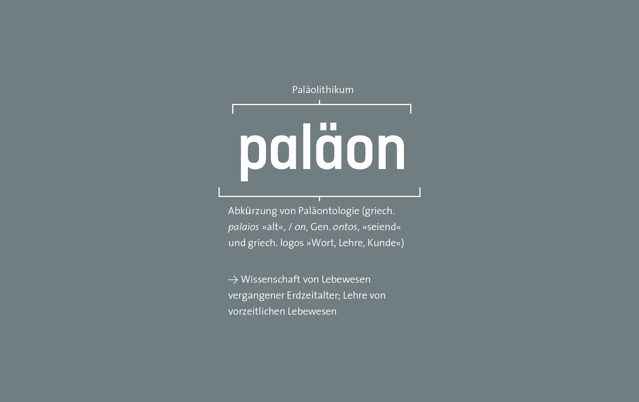 palaeon Namensgebung